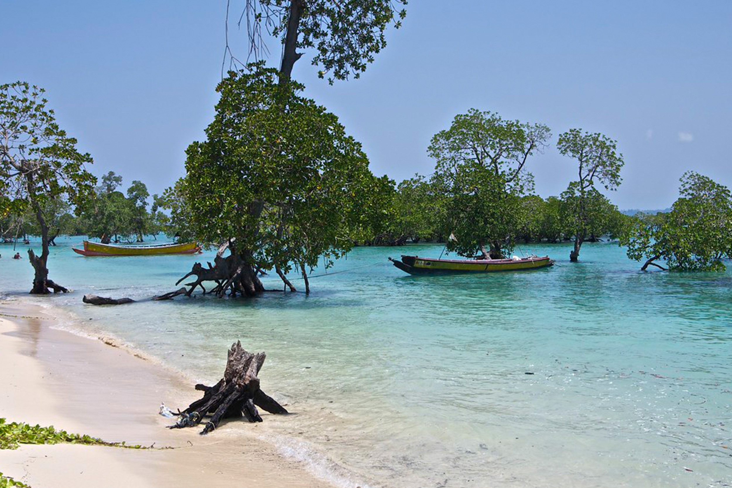 8624089794_c0287a3041_b