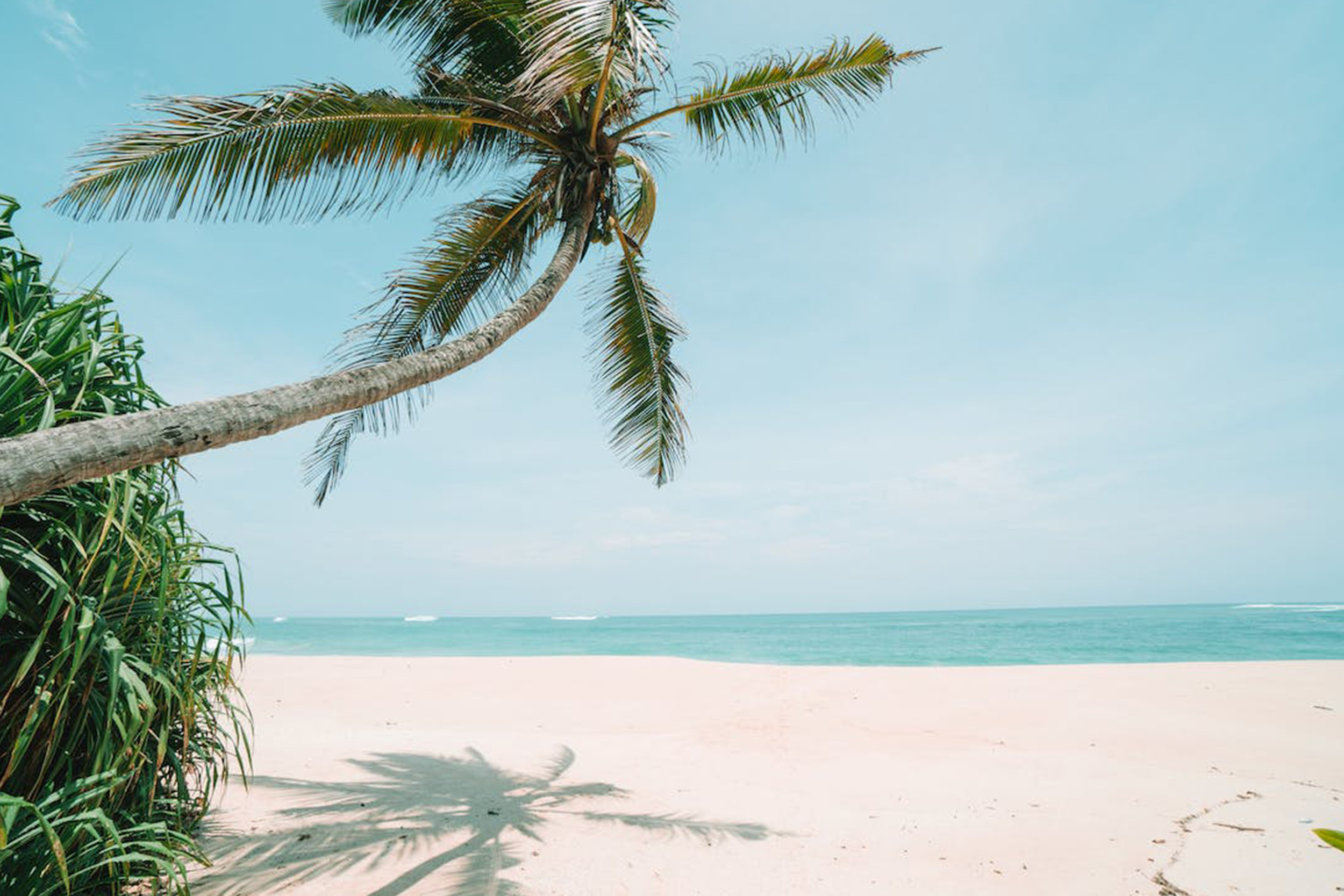 pexels-photo-4870612