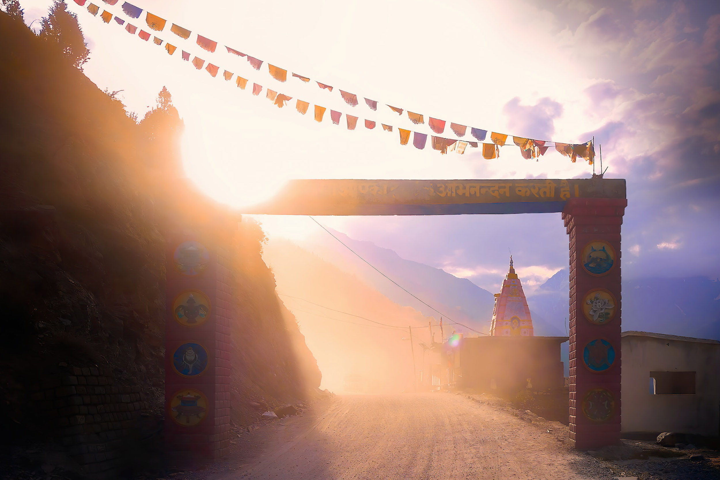 pexels-simon-berger-5011116