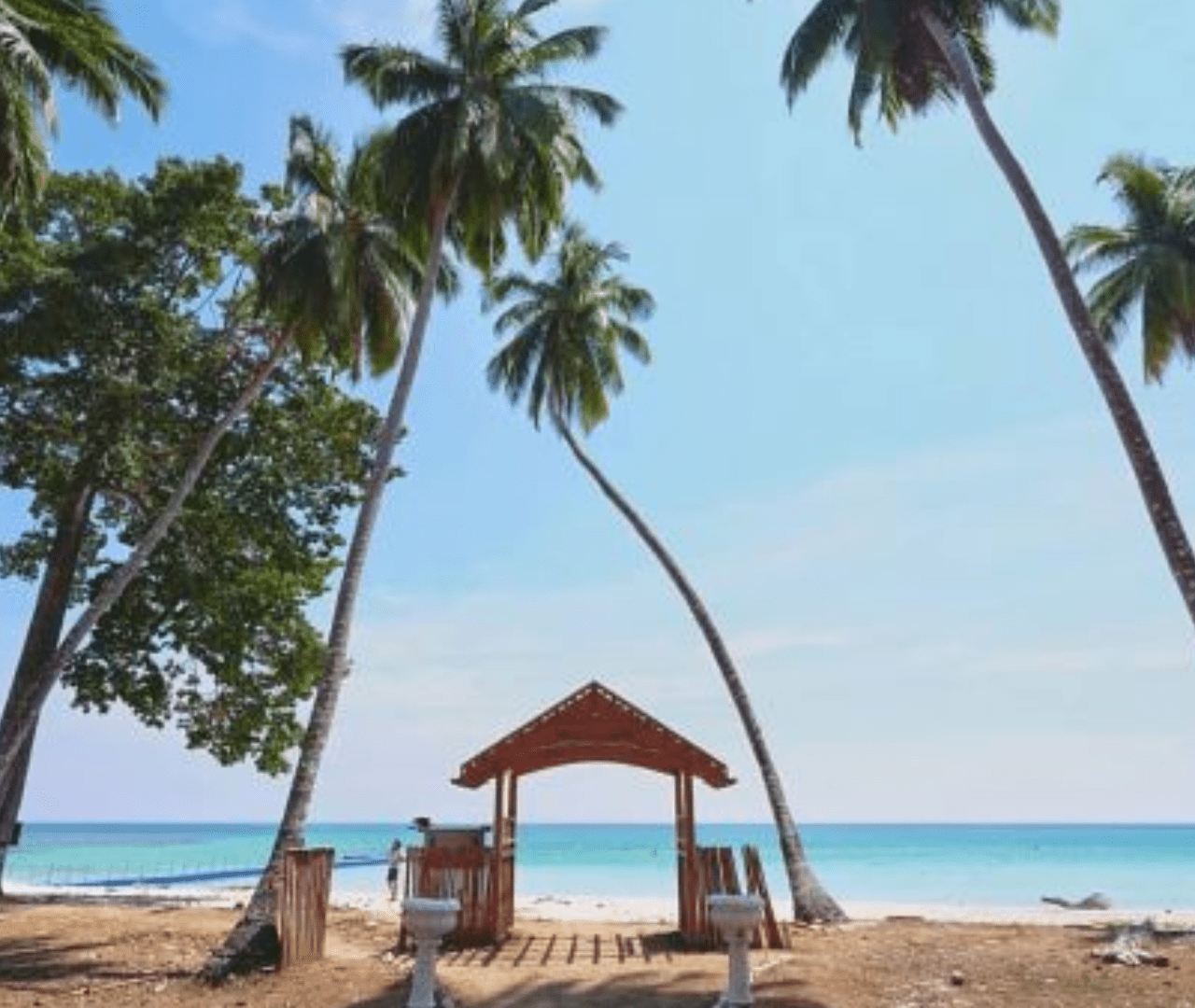 https://shuddhdesitravels.com/wp-content/uploads/2023/08/12-1-1280x1080.png