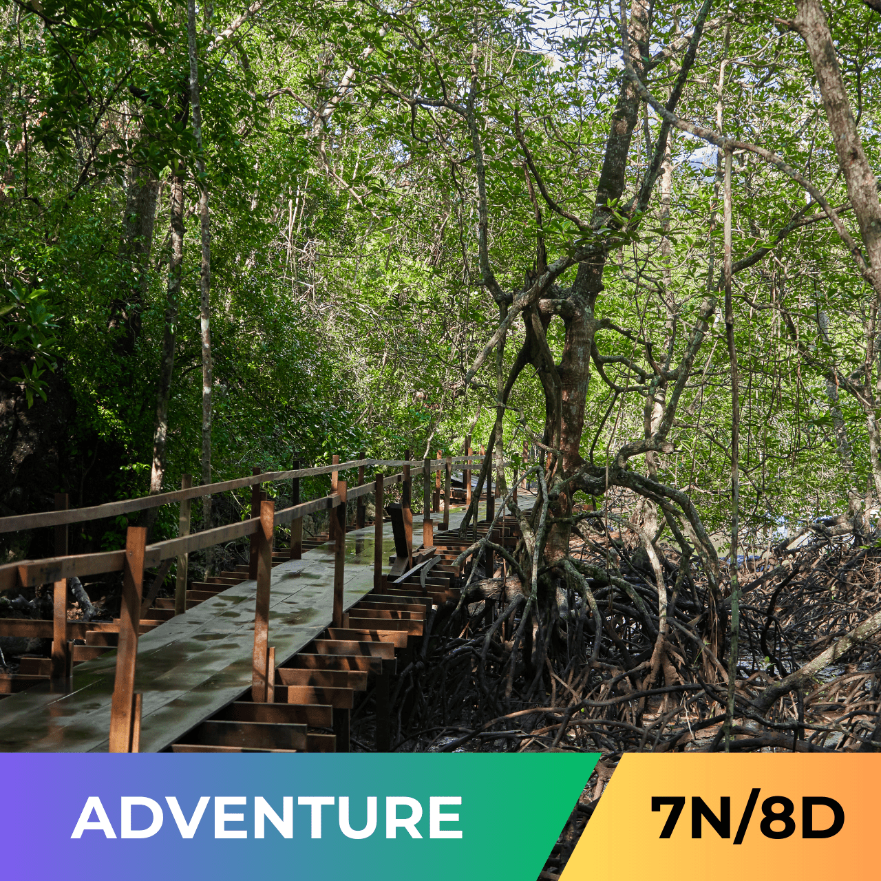 Offbeat Andaman - Deluxe