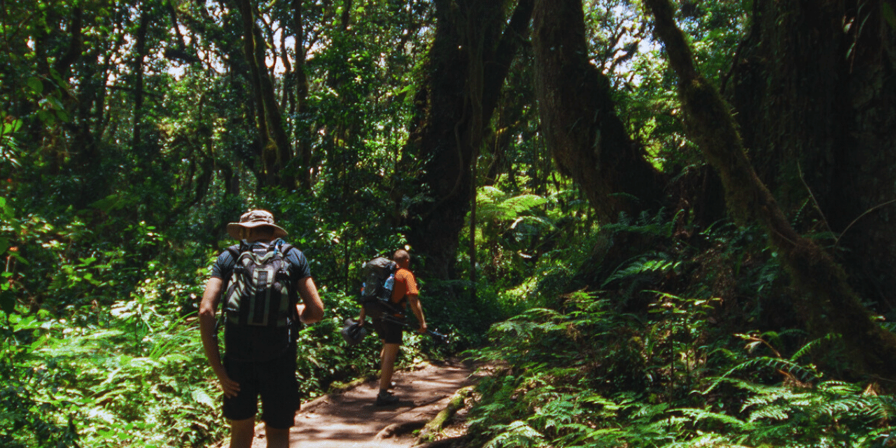 Andaman Travelthon 25 Nov 2023