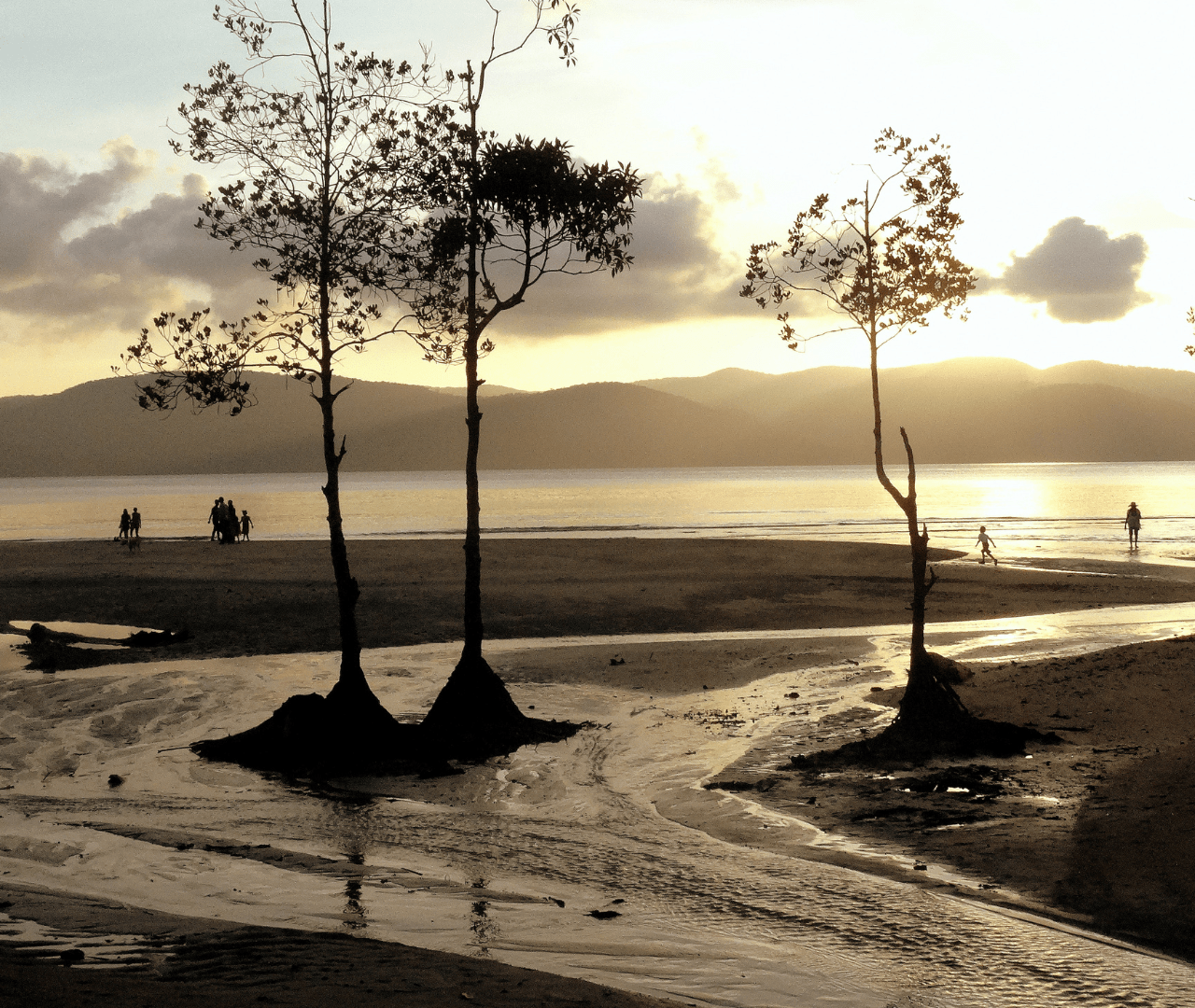 https://shuddhdesitravels.com/wp-content/uploads/2023/08/27-1280x1080.png