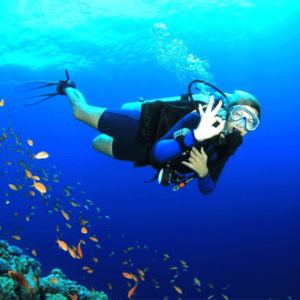 https://shuddhdesitravels.com/wp-content/uploads/2023/08/Scuba-Diving-300x300.png